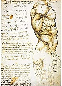 Anatomie Notizblatt
